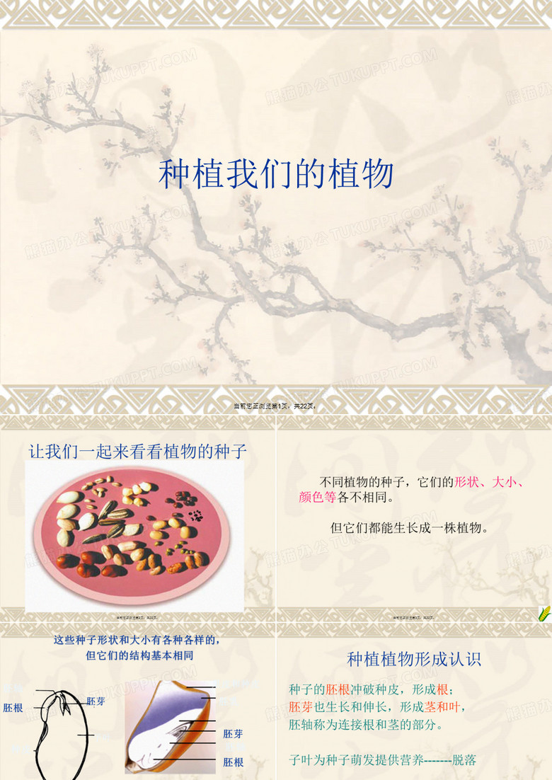 种植我们的植物
