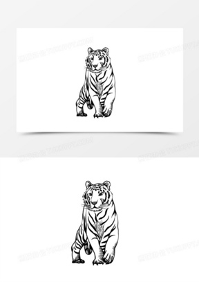 野生动物老虎手绘线条元素