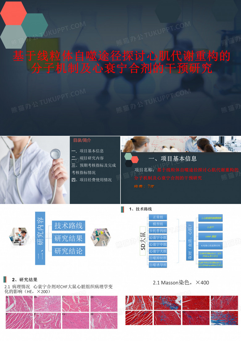 医学类项目结题汇报