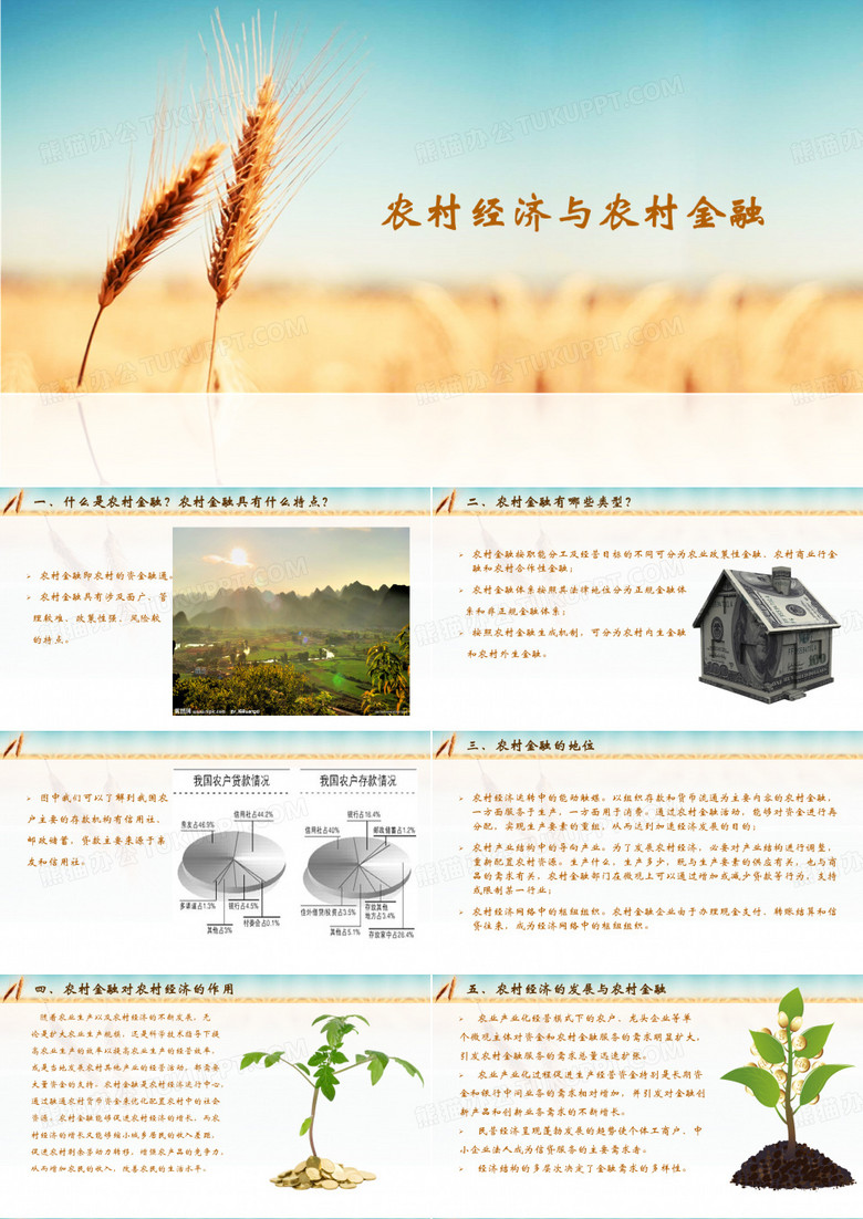 农村经济发展与农村金融的关系