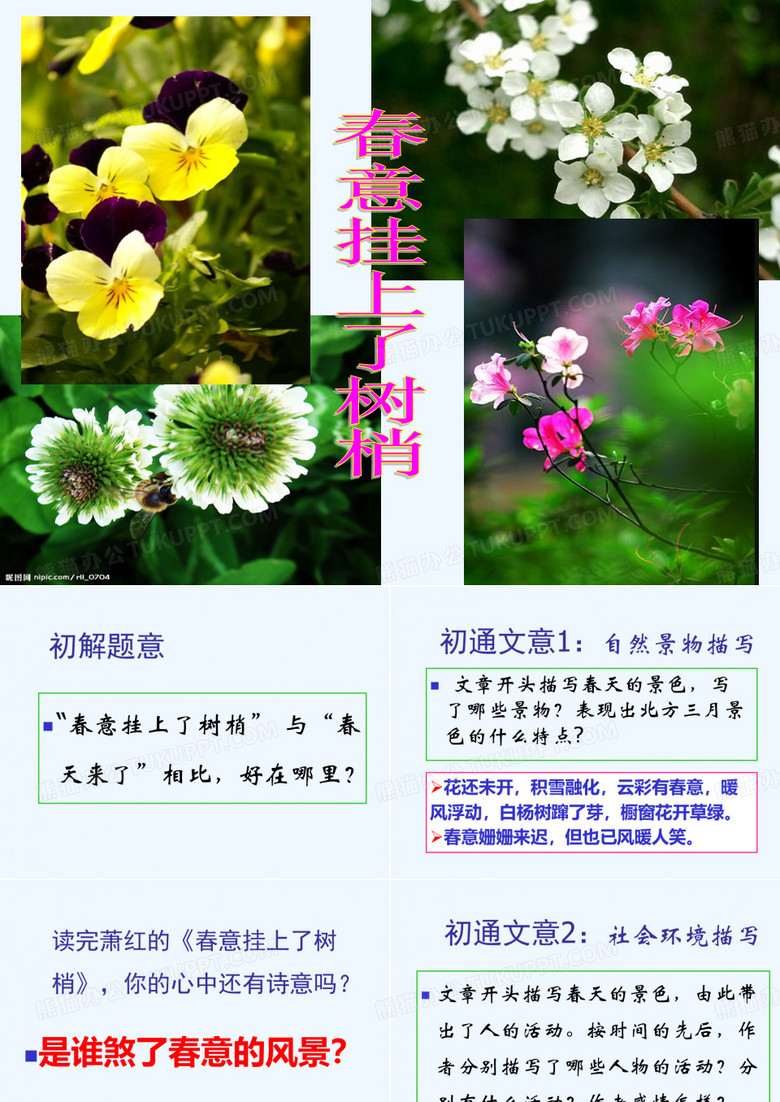 春意挂上了树梢