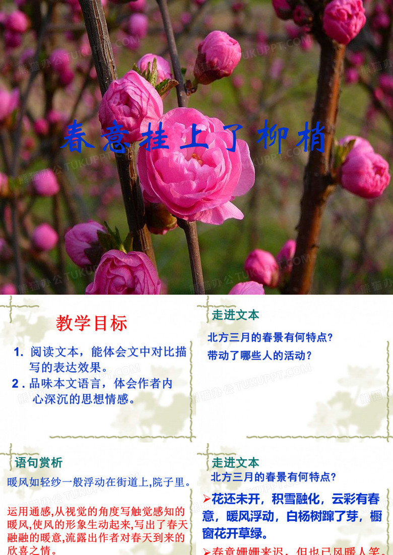 《春意挂上了树梢》课件