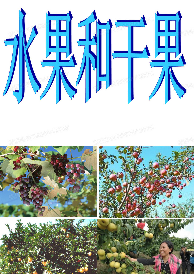 水果和干果