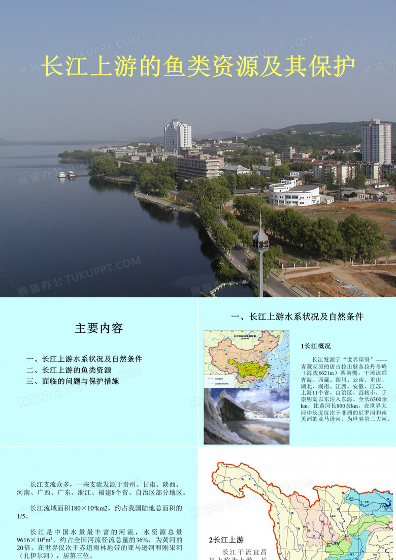 长江上游的鱼类资源状况及其保护策略
