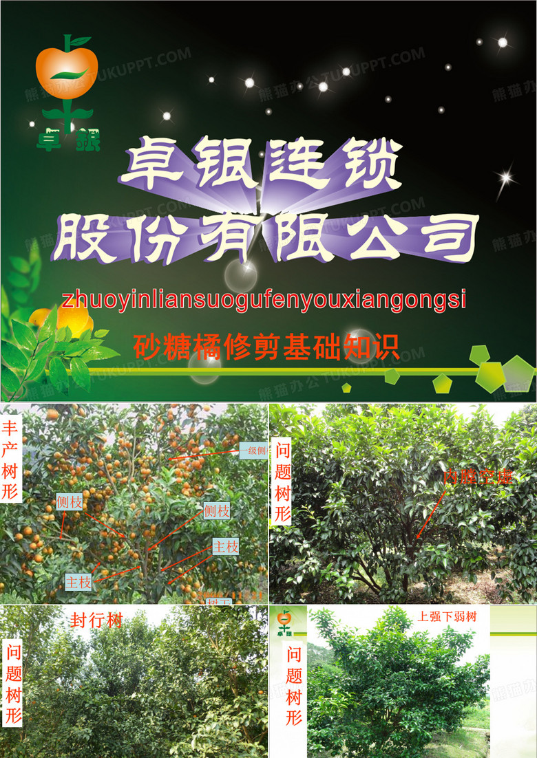 砂糖橘修剪基础知识