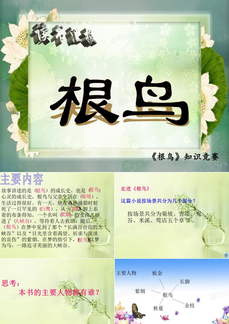 《根鸟》阅读汇报课