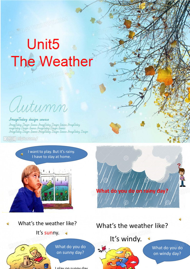 the weather