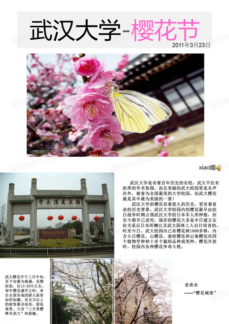 武大樱花 xiao媚制作