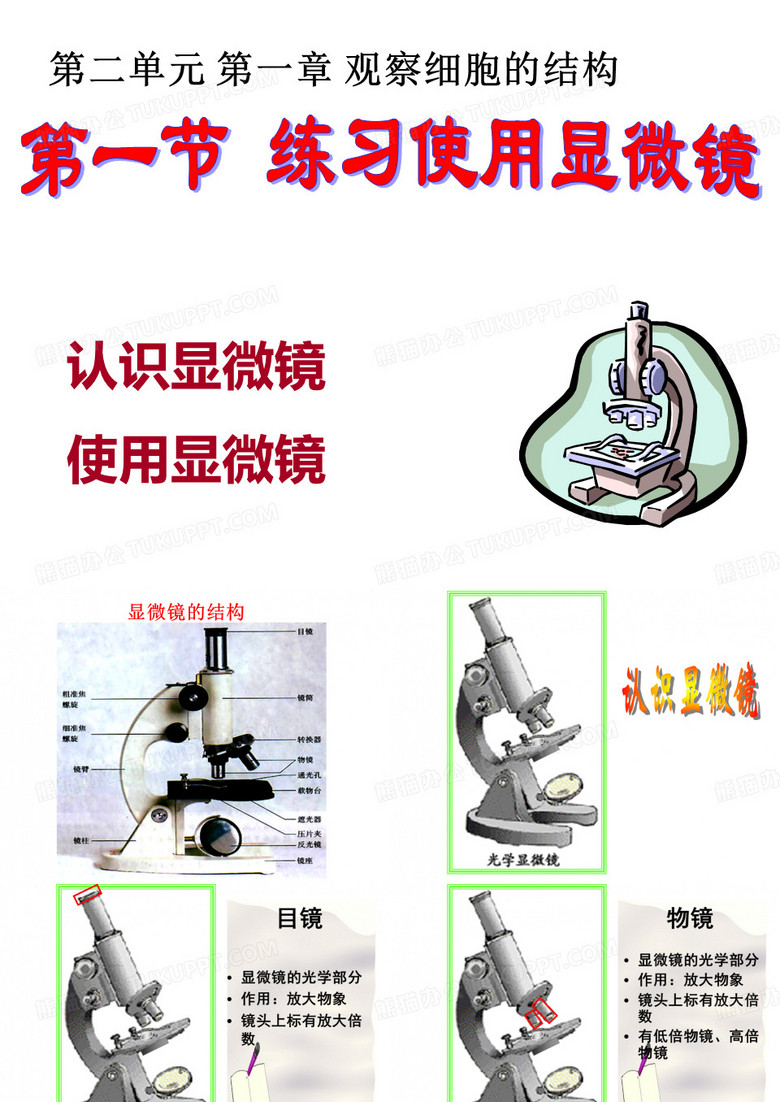 绿色圃中小学课件免费下载