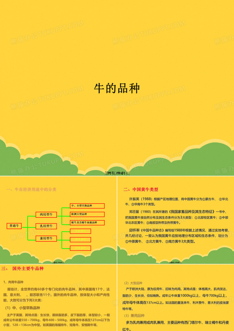 牛的品种(详细介绍“品种”共41张)