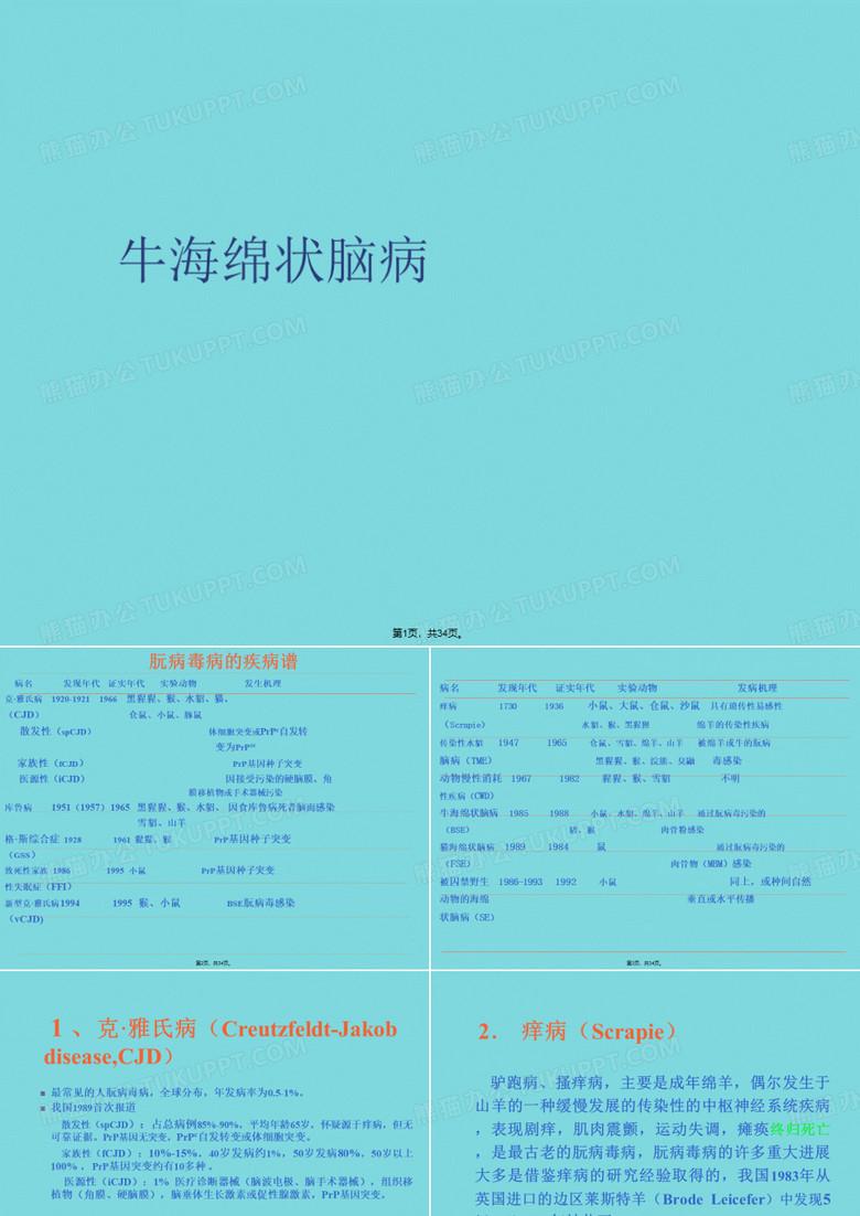 牛海绵状脑病(详细介绍“朊病毒”共34张)
