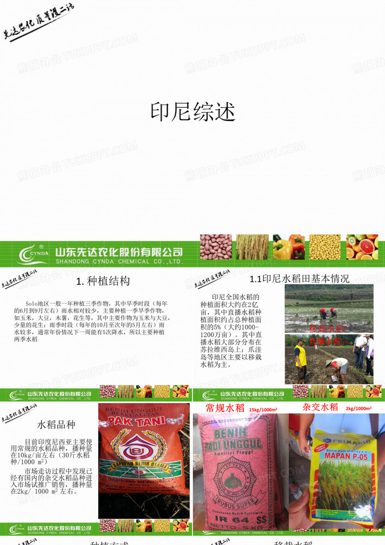 印尼农业综述