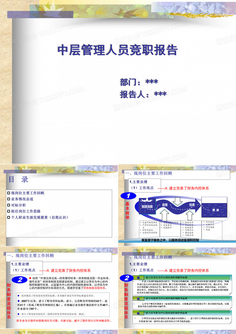 竞职报告