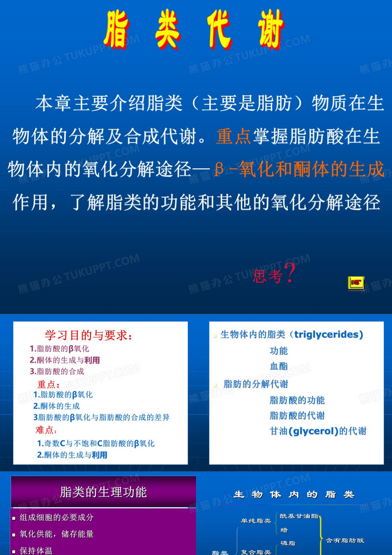 脂肪代谢