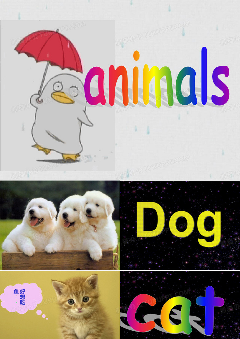 animals-儿童英语动物