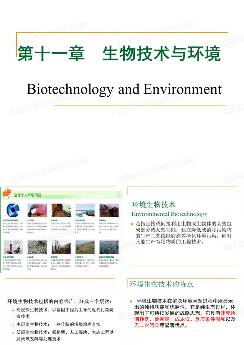 生物技术   生物技术与环境新
