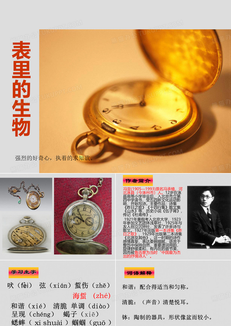 表里的生物