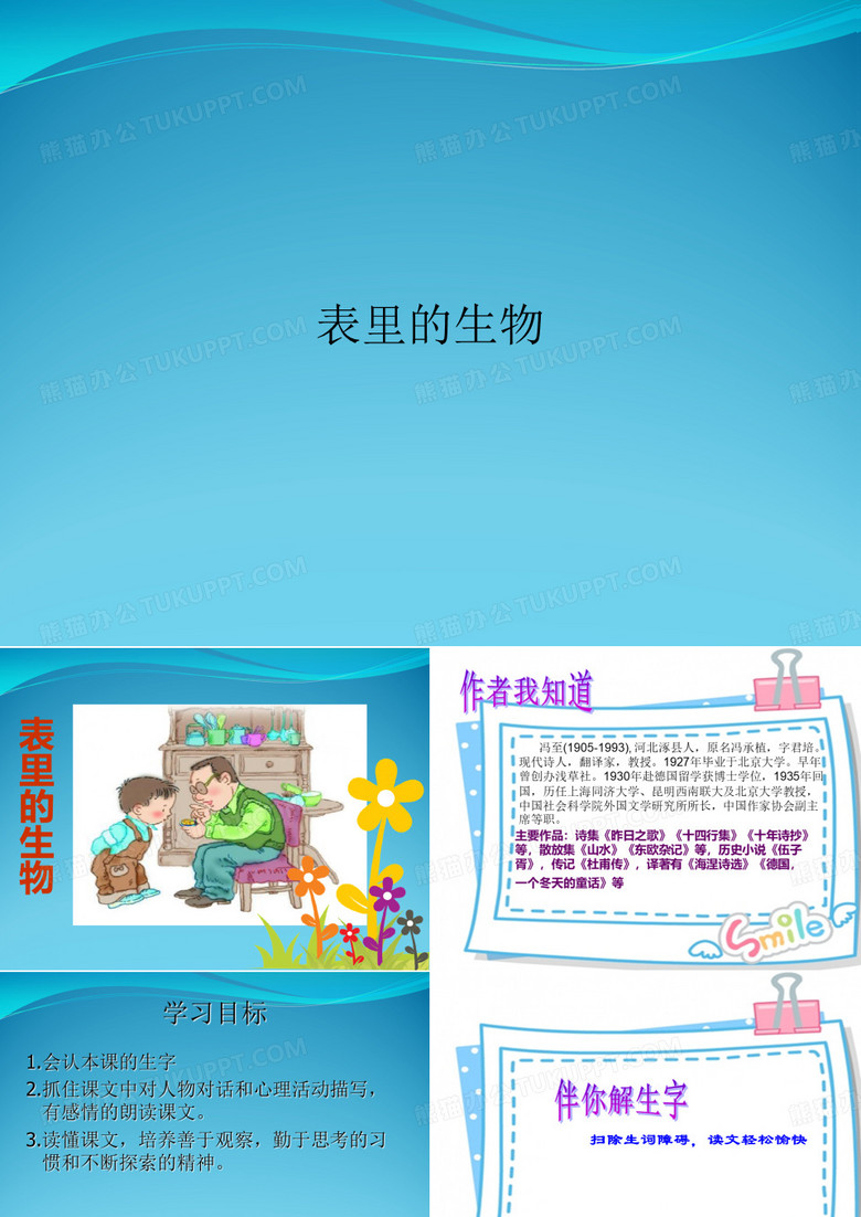 表里的生物