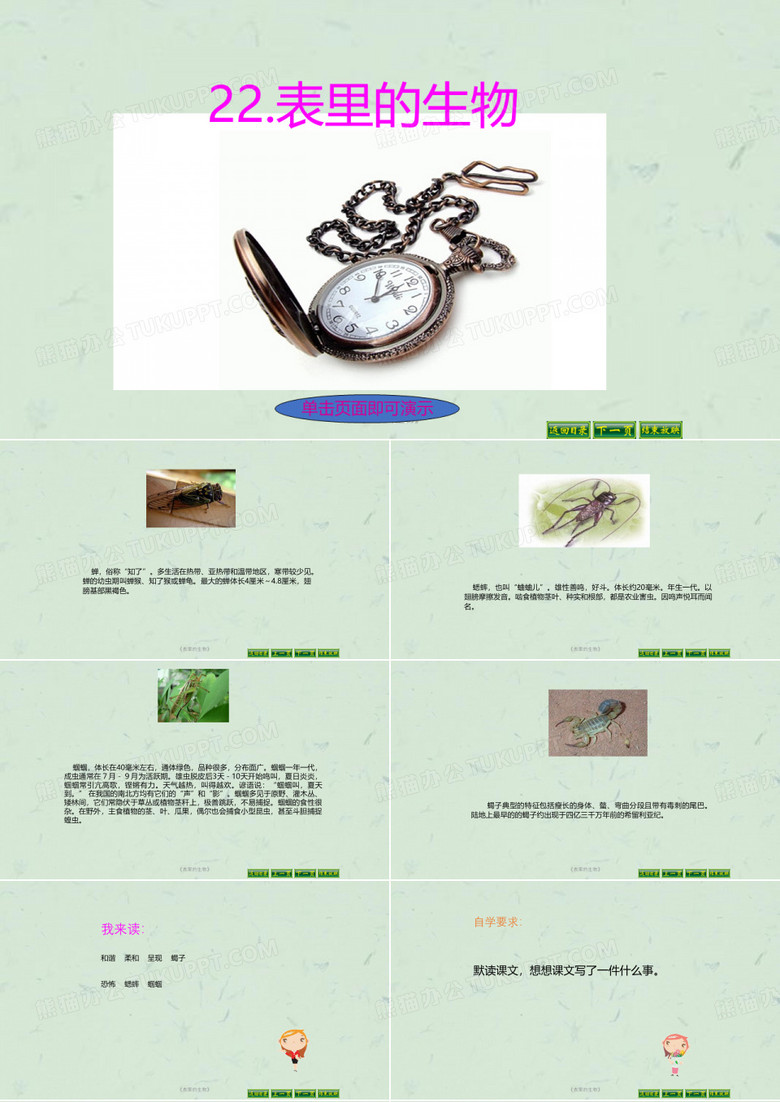 《表里的生物》