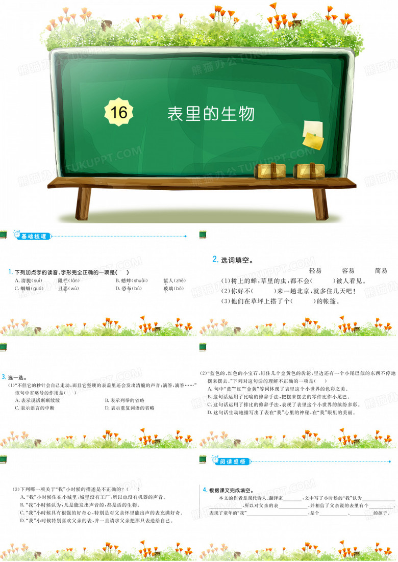 《表里的生物》