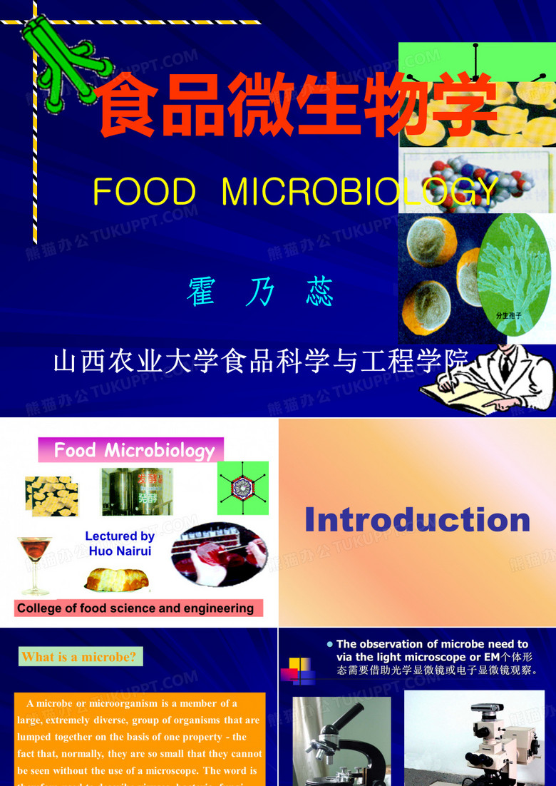 微生物学(绪论)