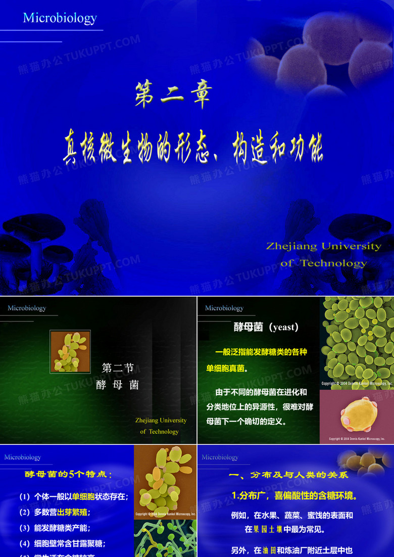 微生物学酵母菌
