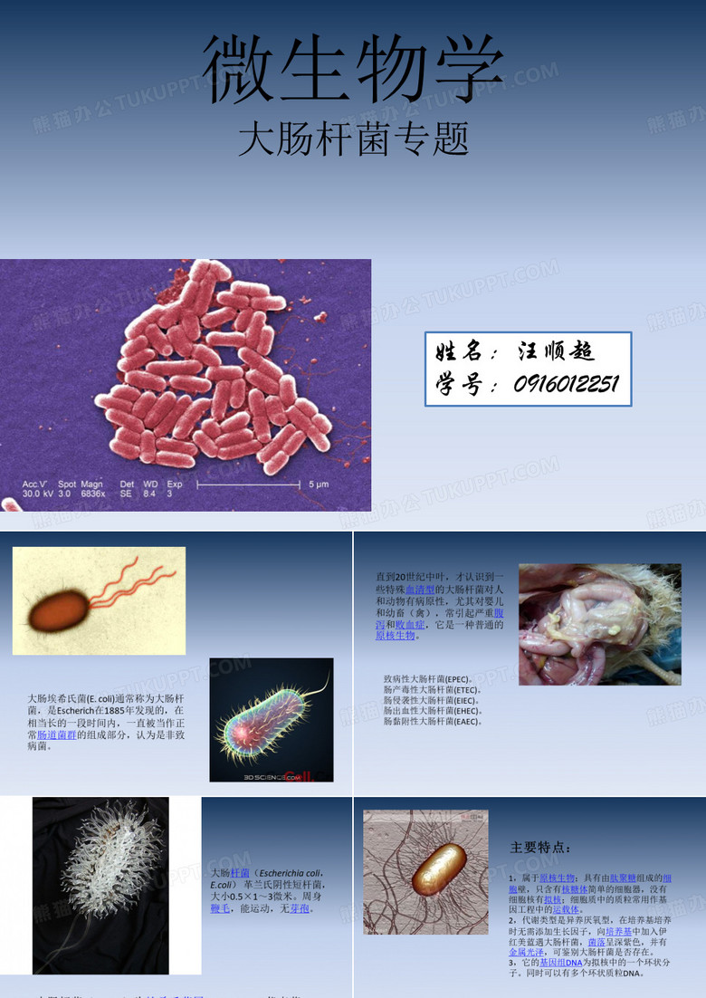 微生物学PPT