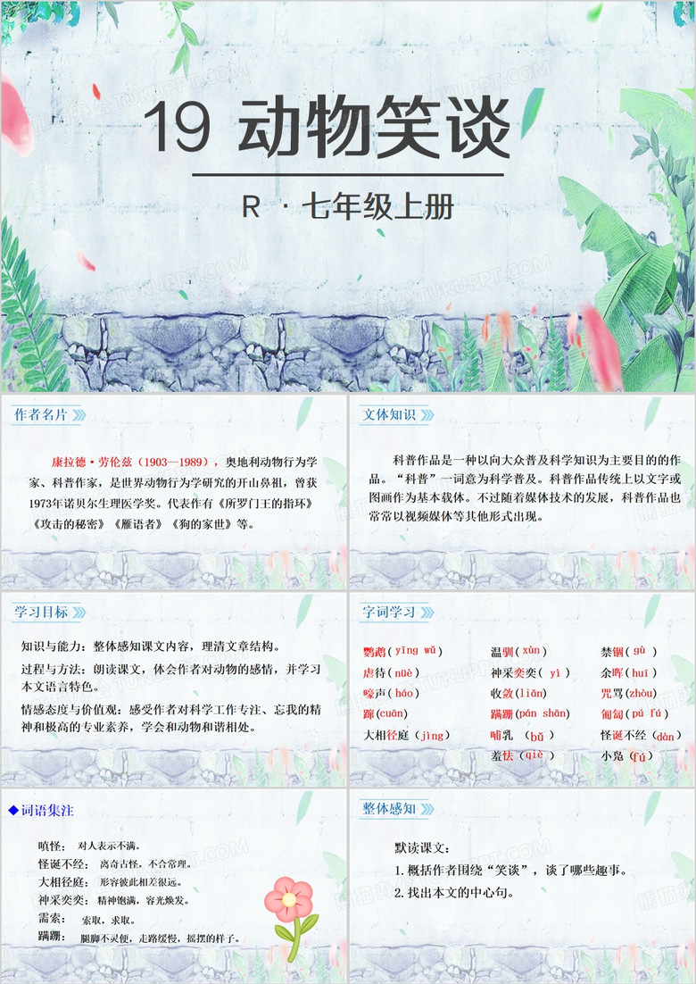 动物笑谈语文课件PPT模板