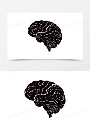 脑子图片素材