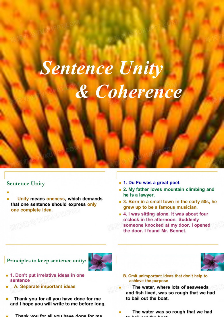 Sentence Unity and Coherence