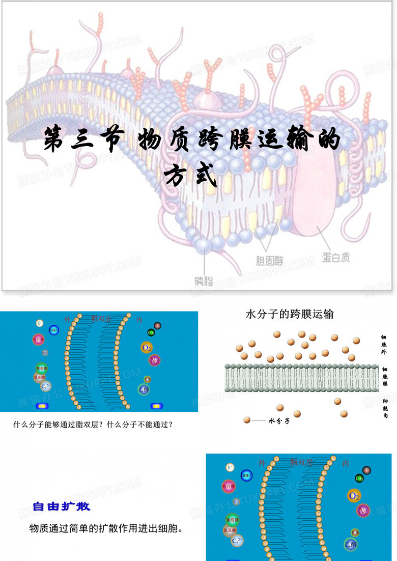 物质跨膜运输的