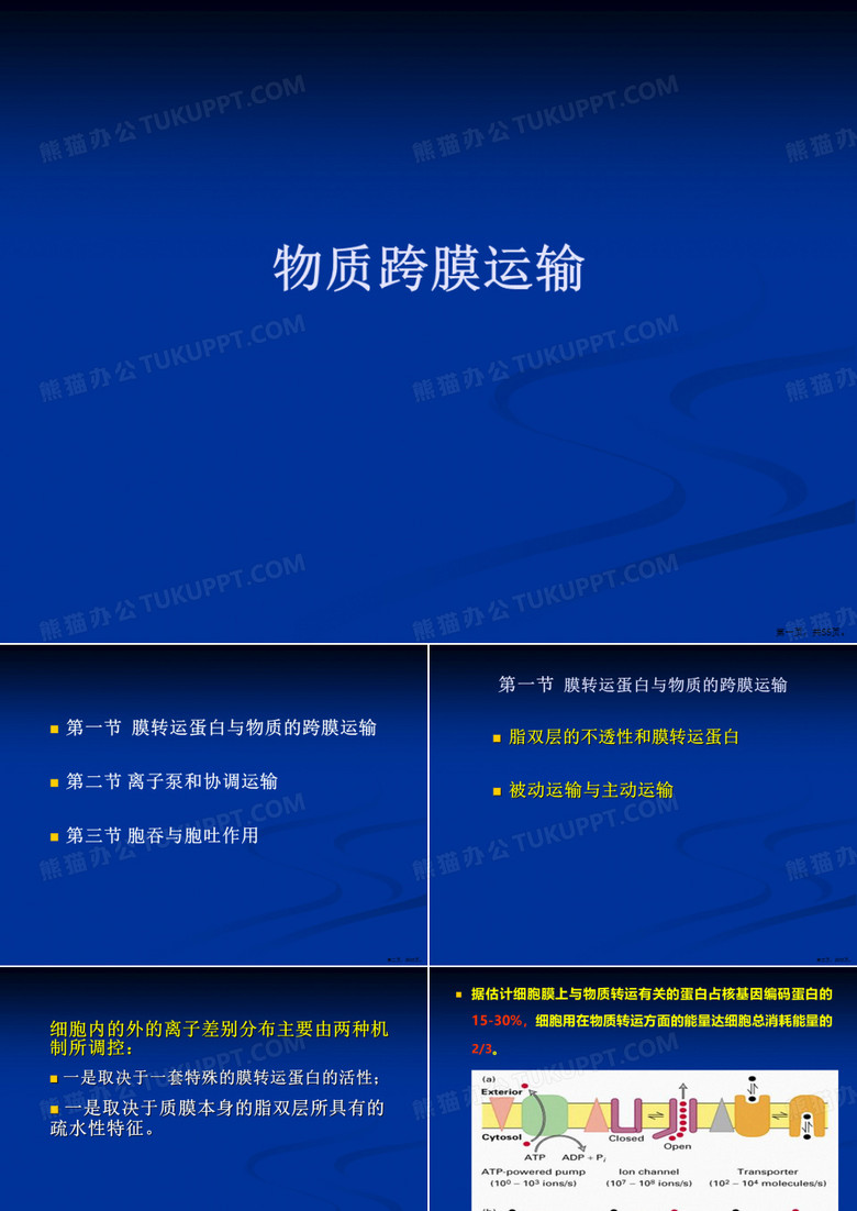 物质跨膜运输
