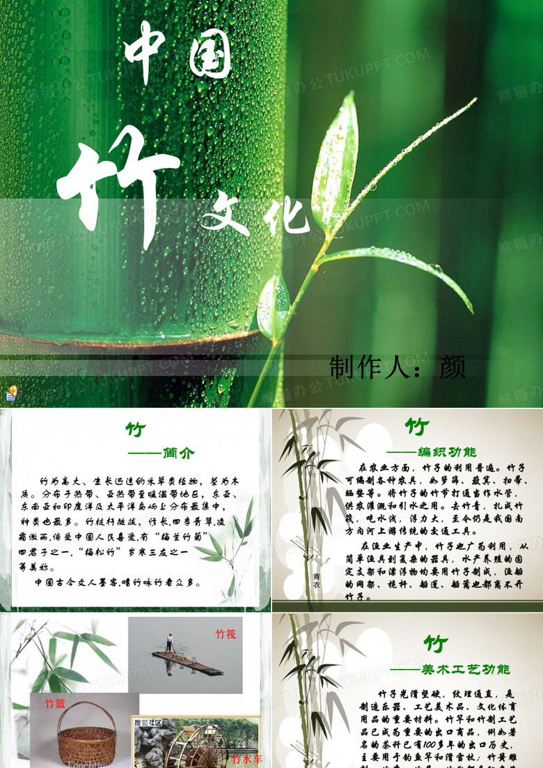 中国竹文化概述