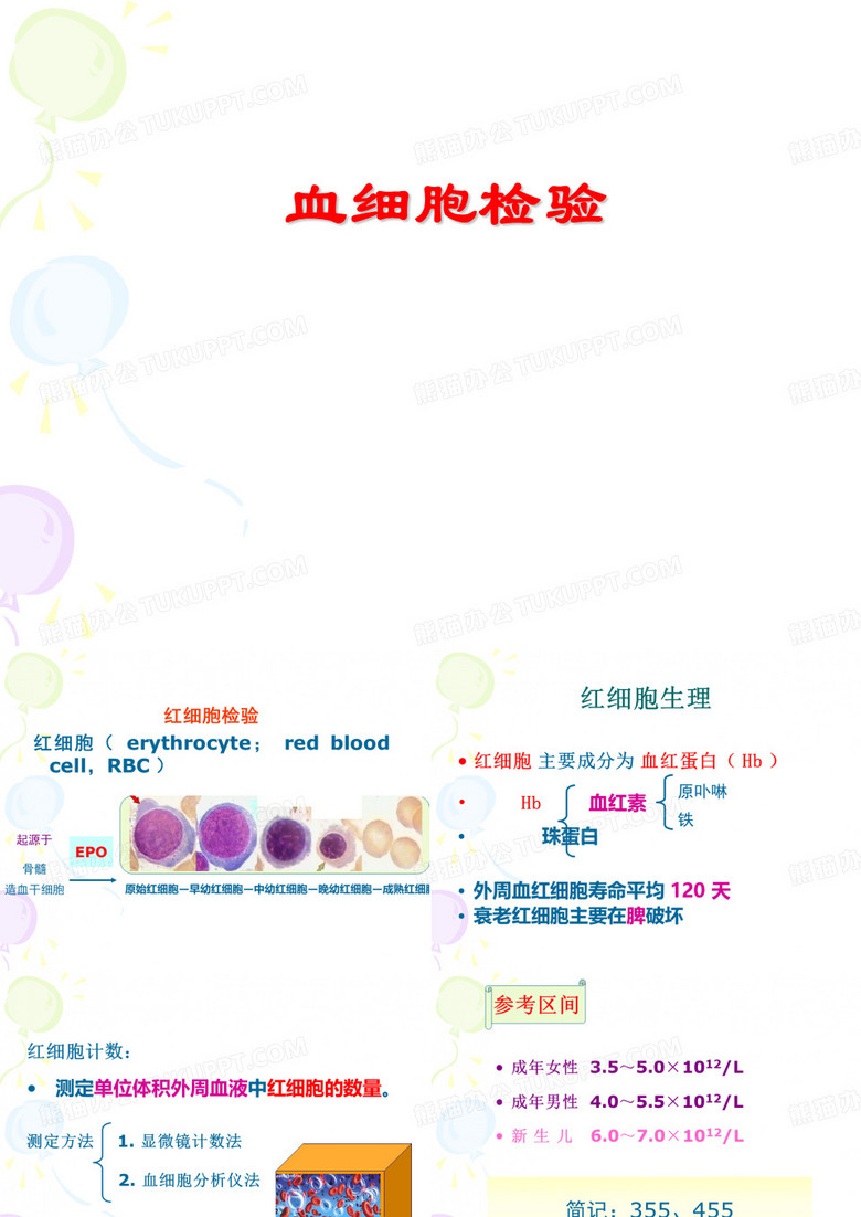 红细胞检验