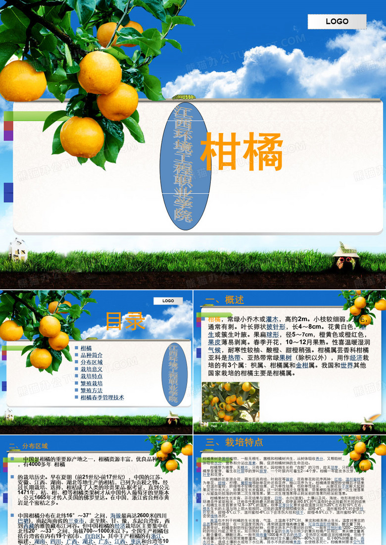 柑橘课件