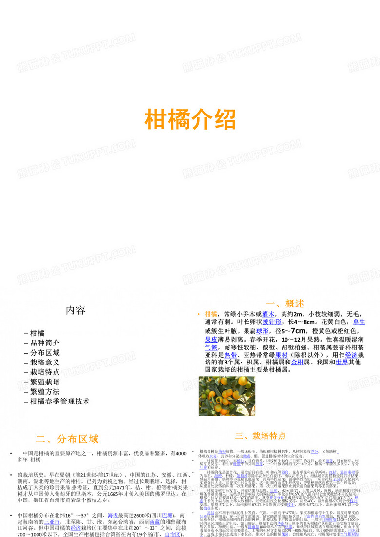 柑橘介绍