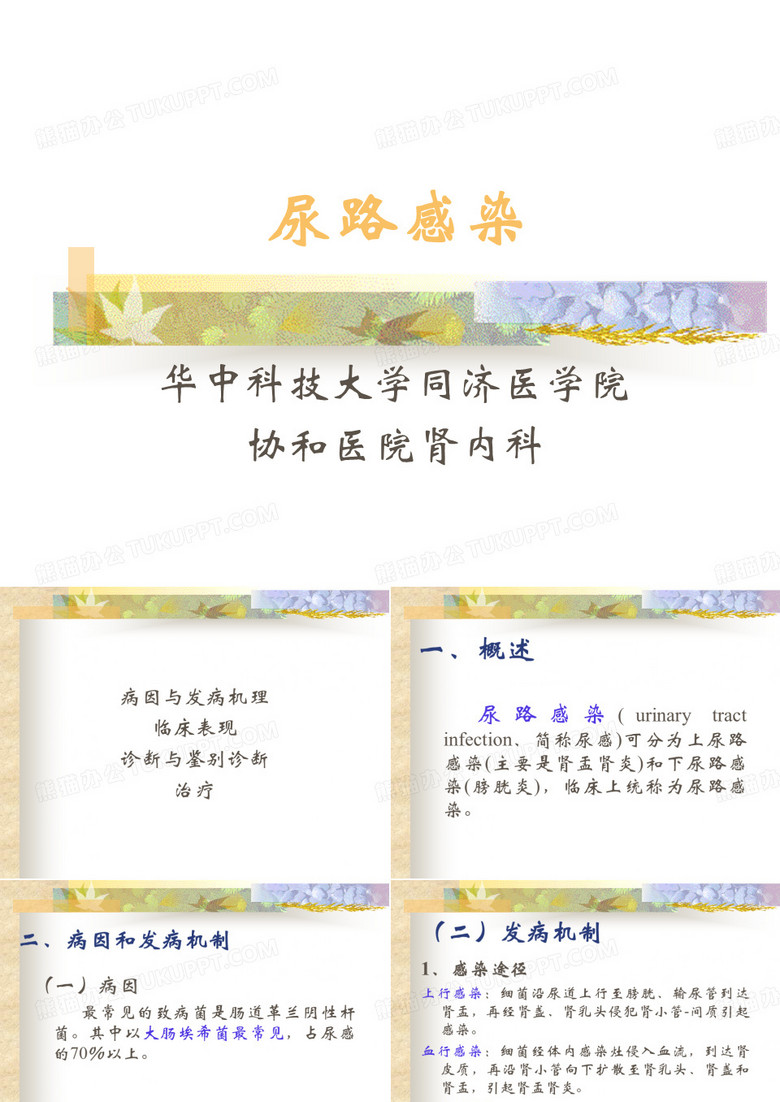 尿路感染