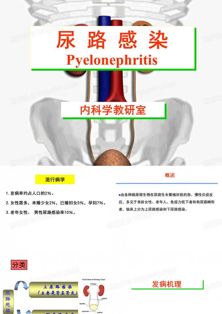 尿路感染 