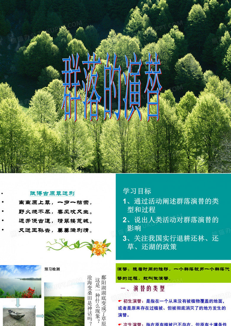 群落的演替