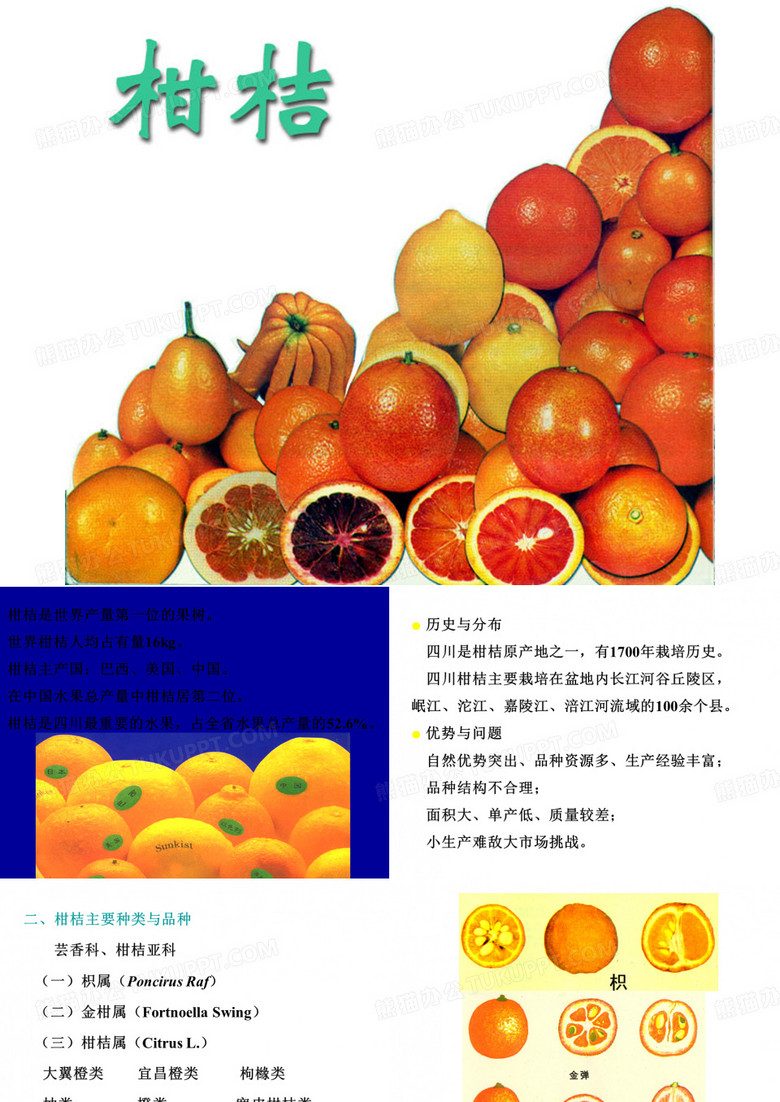 柑橘 果树栽培学 四川农业大学
