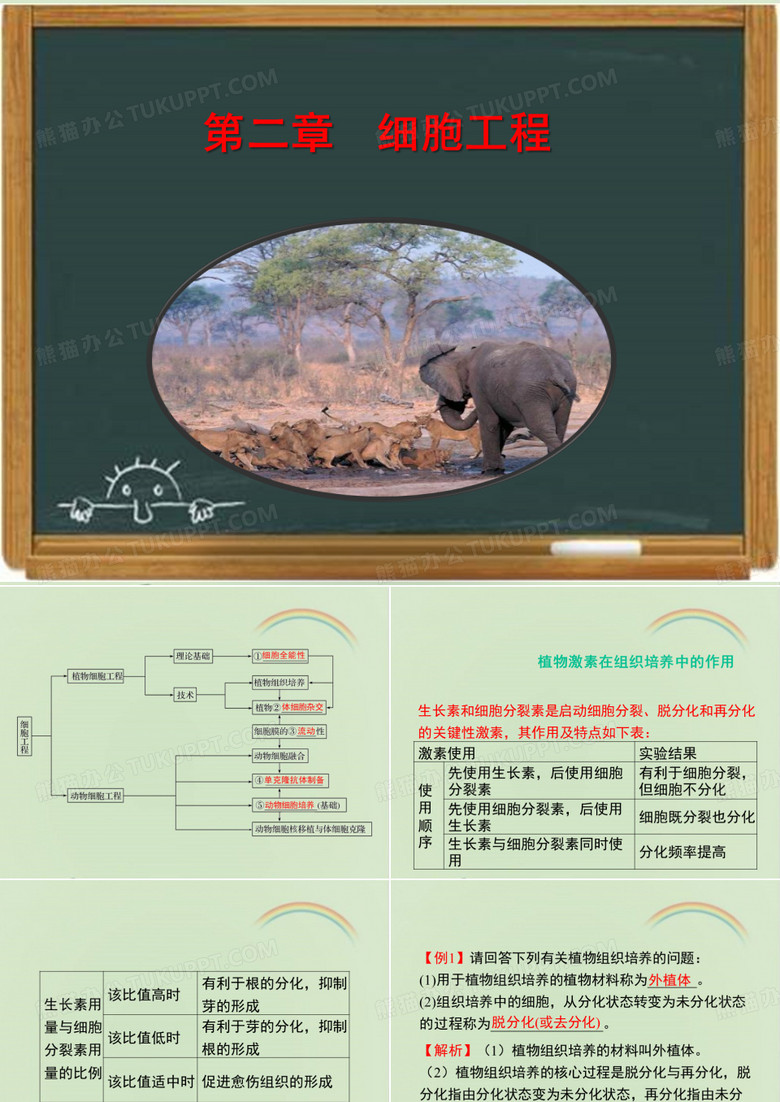《 现代生物科技专题》《细胞工程》章末复习课件-新版