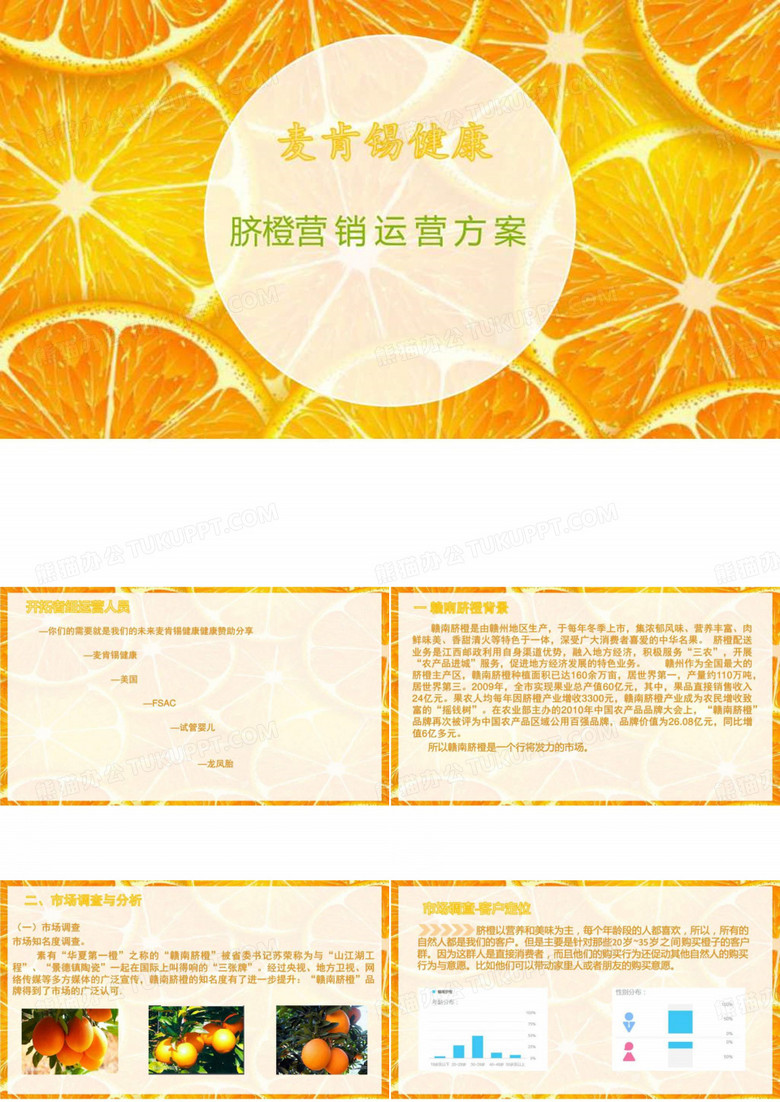 麦肯锡健康赣南脐橙营销方案_图文.ppt