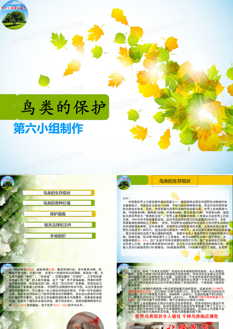 鸟类的保护