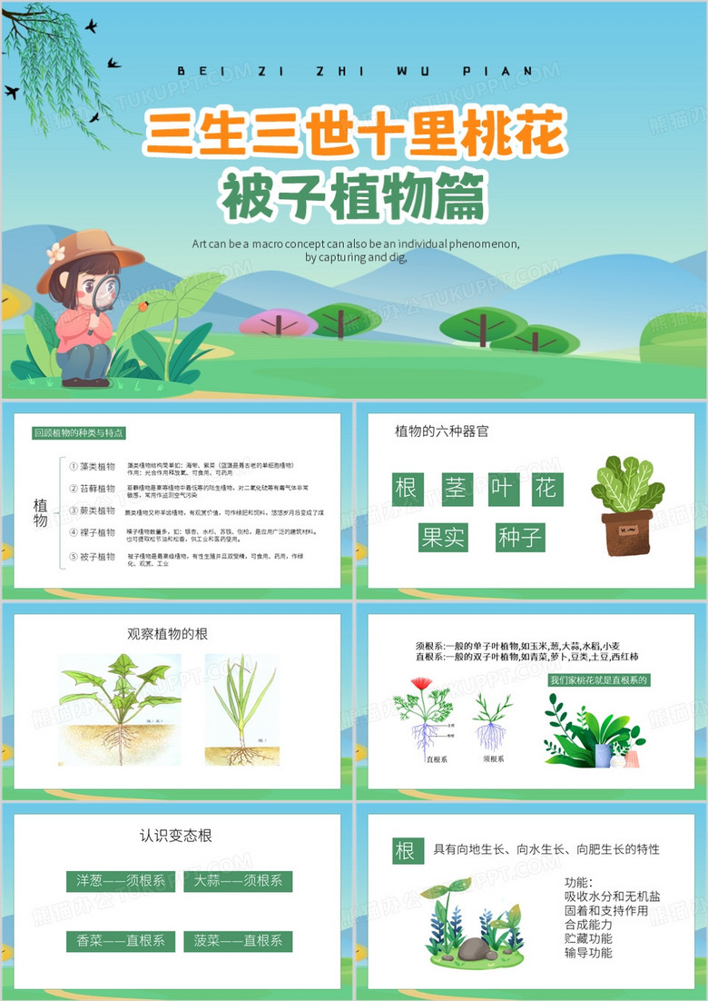 绿色卡通风被子植物篇PPT模板