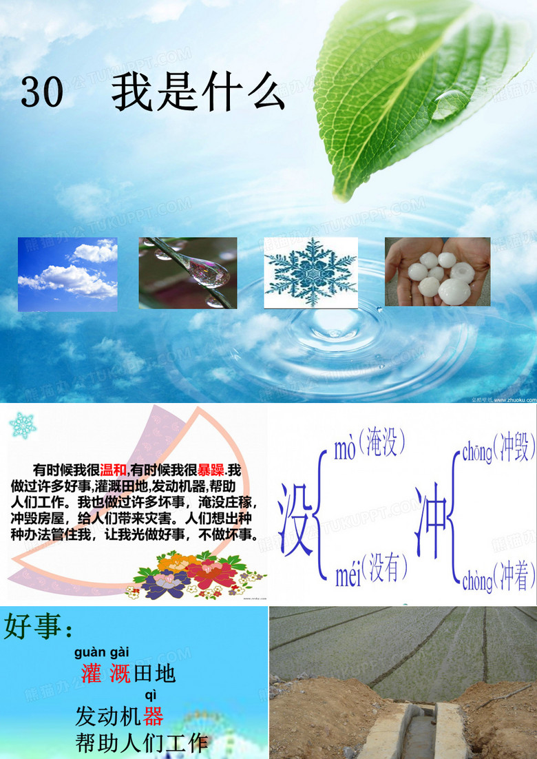我是什么