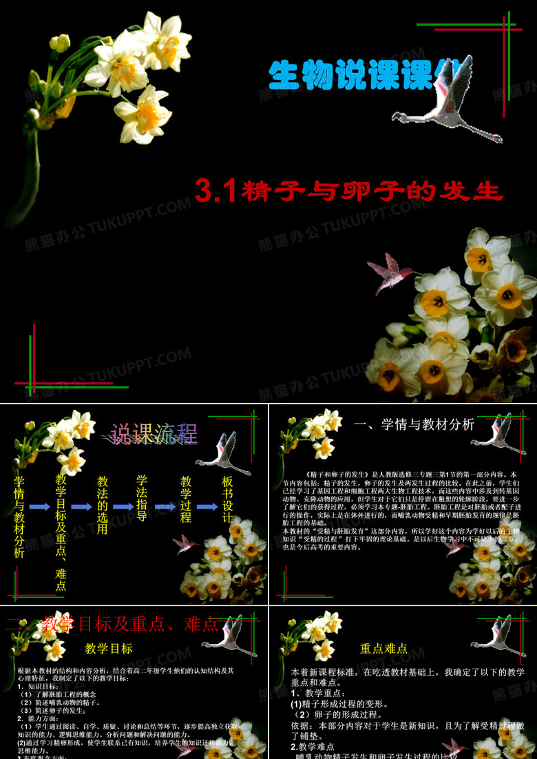 生物说课课件