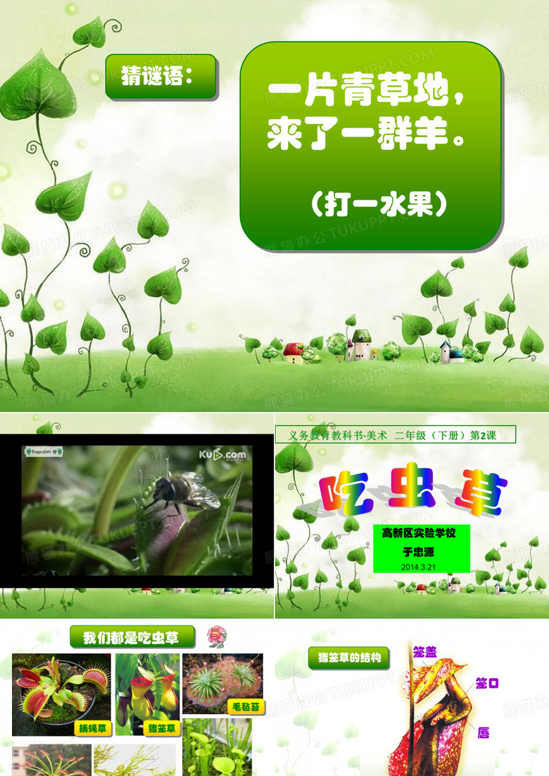 吃虫草