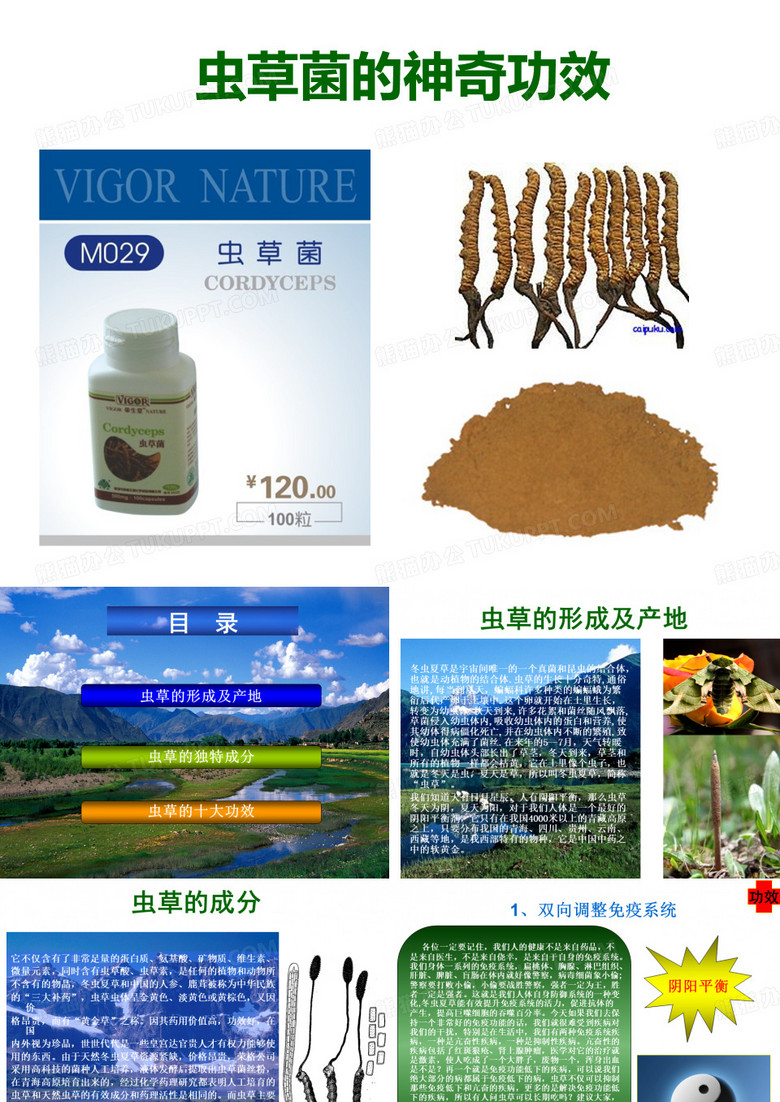 虫草菌