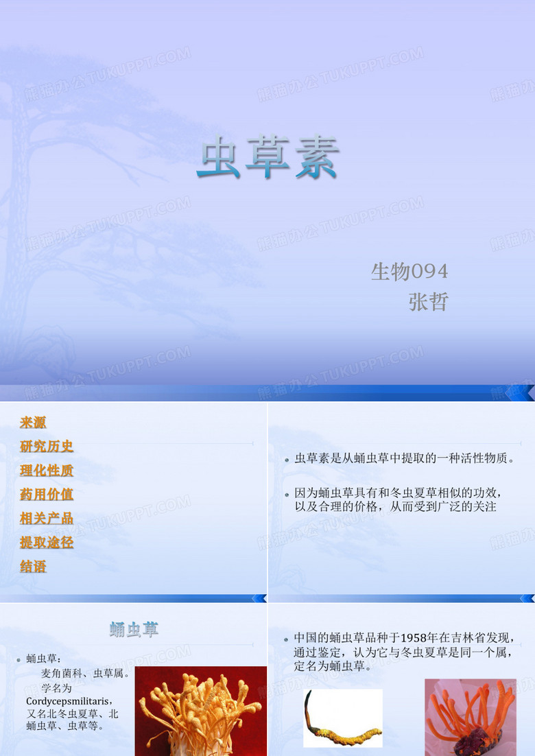 虫草素的简介