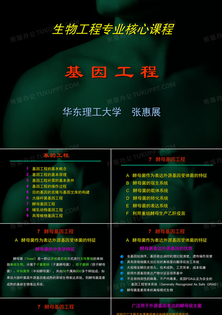 华南理工大酵母基因工程课件